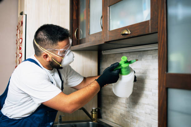 Best Emergency Pest Control  in Tinton Falls, NJ