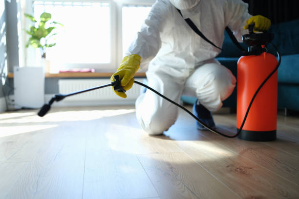 Flea Control Services in Tinton Falls, NJ