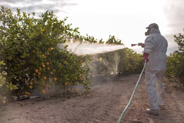 Best Termite Control Services  in Tinton Falls, NJ