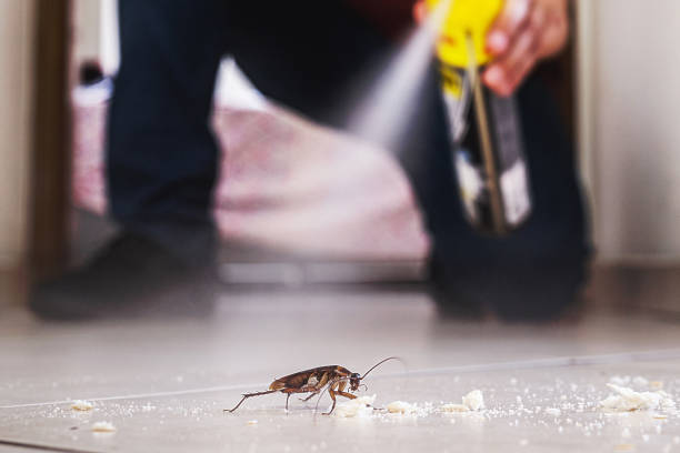 Best Residential Pest Control  in Tinton Falls, NJ