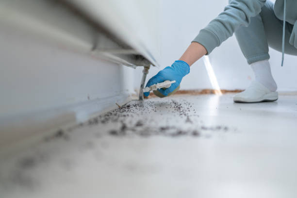 Best Ant Control Services  in Tinton Falls, NJ